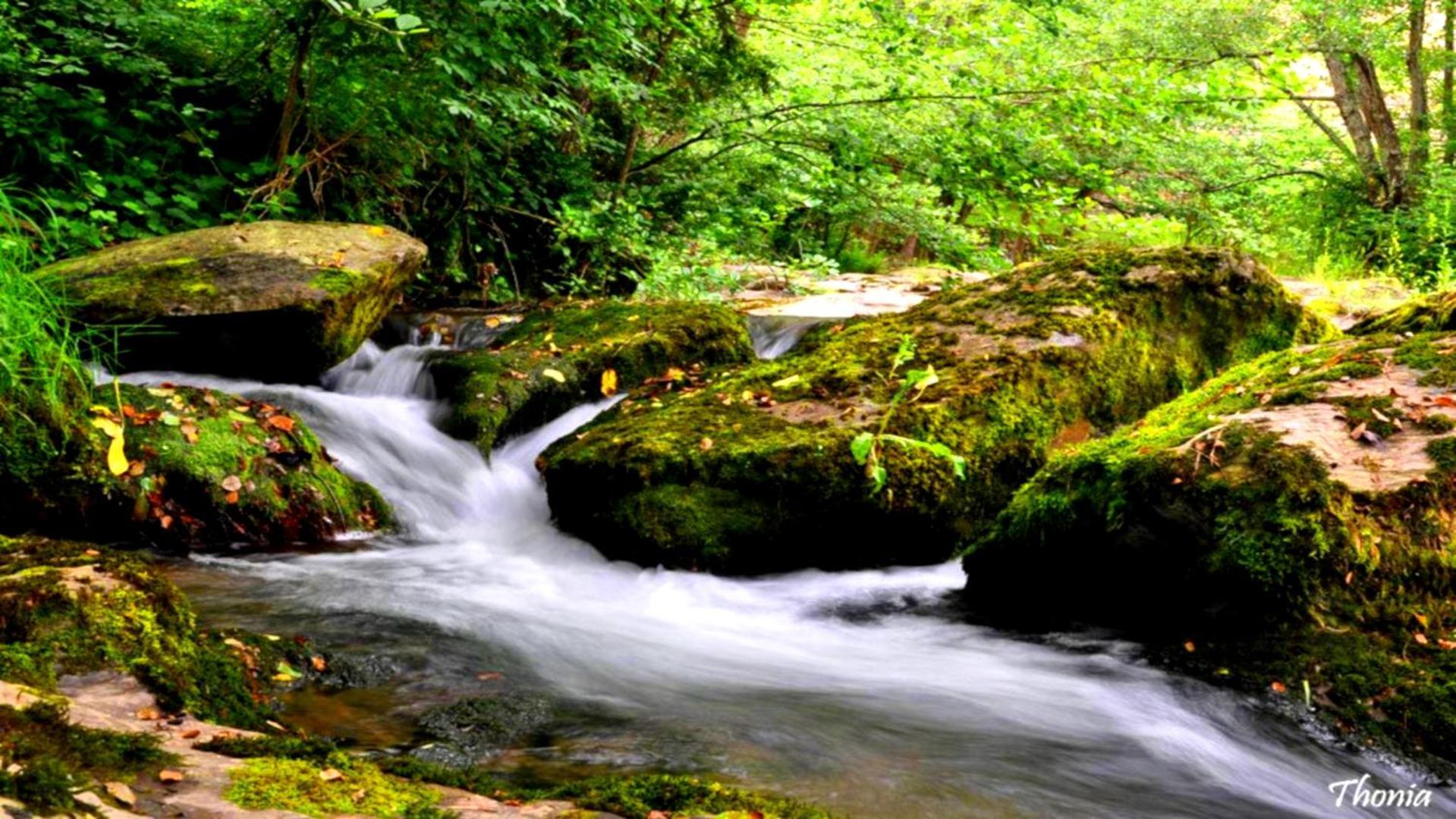 Can Manen Camprodon Dış mekan fotoğraf